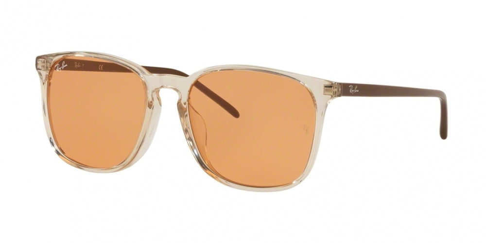 Ray-Ban 4387F Sunglasses