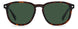 0086-UC - HAVANA - Green Polarized