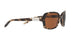 169173 - Smoky Tortoise - Amber Solid