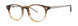 Original Penguin THE CHARLTON Eyeglasses