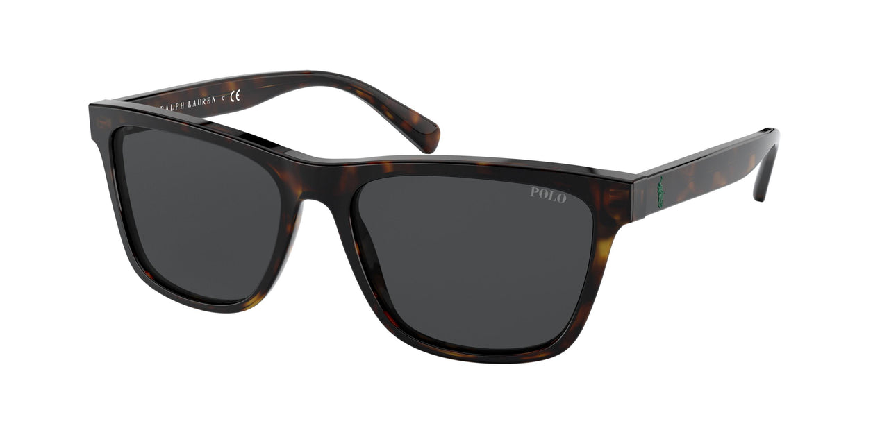 Polo 4167 Sunglasses