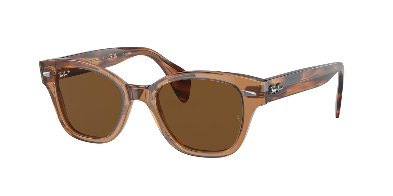 Ray-Ban 0880SF Sunglasses