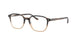 Ray-Ban Leonard 5393 Eyeglasses