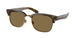 Polo 4202 Sunglasses