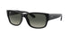 Ray-Ban 4388 Sunglasses