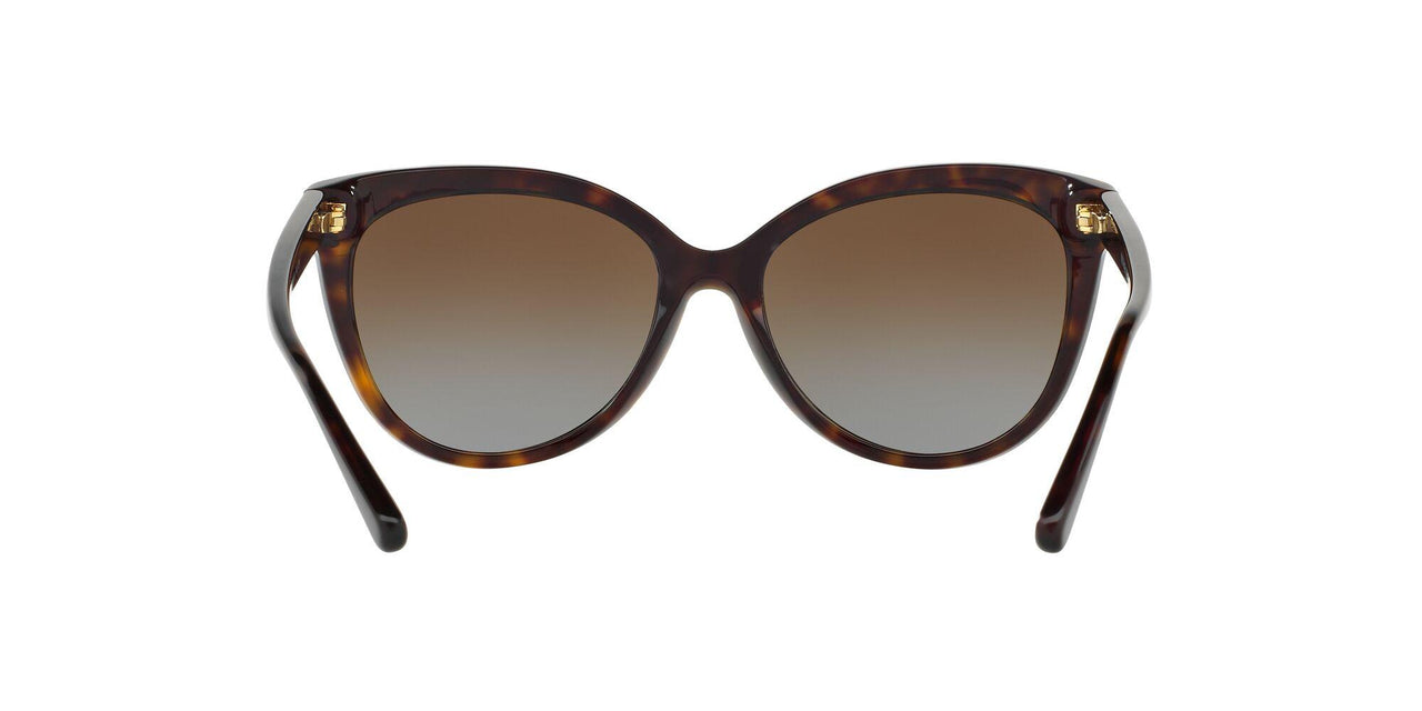 3006T5 - Havana - Brown Gradient Polarized