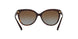 3006T5 - Havana - Brown Gradient Polarized