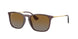 Ray-Ban Chris 4187 Sunglasses