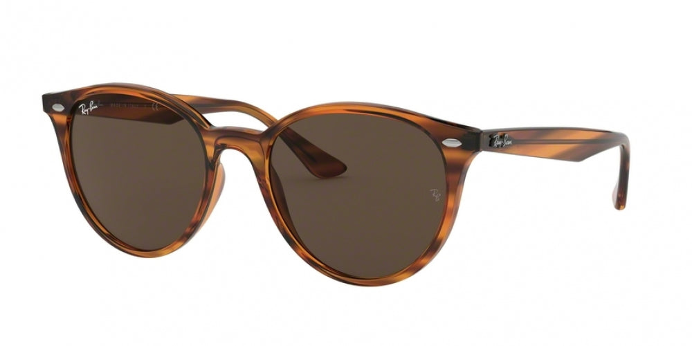 Ray-Ban 4305 Sunglasses