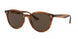 Ray-Ban 4305 Sunglasses