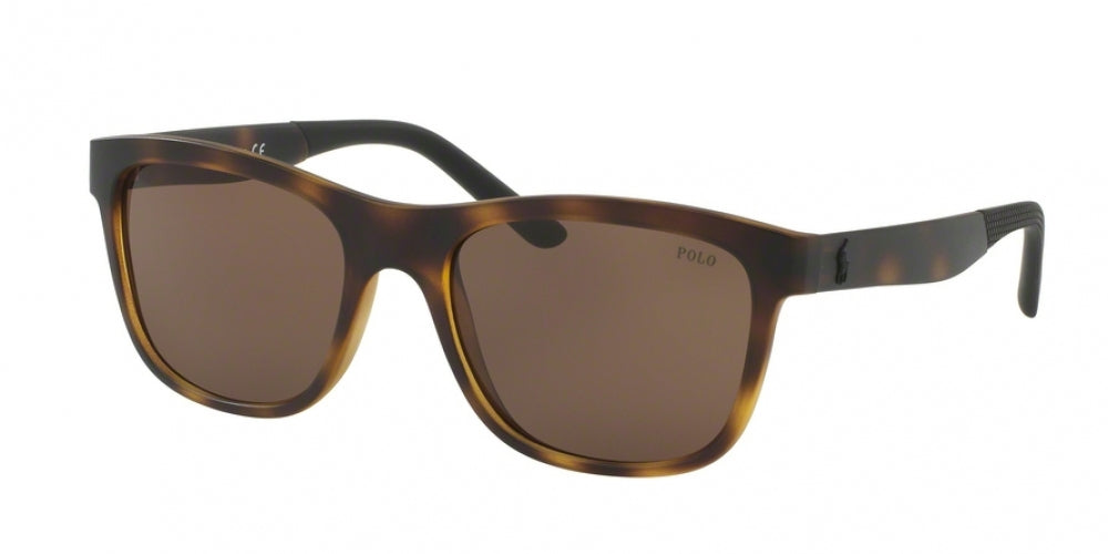 Polo 4120 Sunglasses