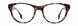 STATE Optical Co. RAVENSWOOD Eyeglasses