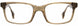 STATE Optical Co. HAYES Eyeglasses