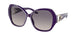 Ralph Lauren 8202B Sunglasses