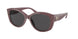 Michael Kors Charleston 2175U Sunglasses