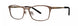 Vera Wang BRYSTAL Eyeglasses