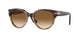 Persol 3287S Sunglasses