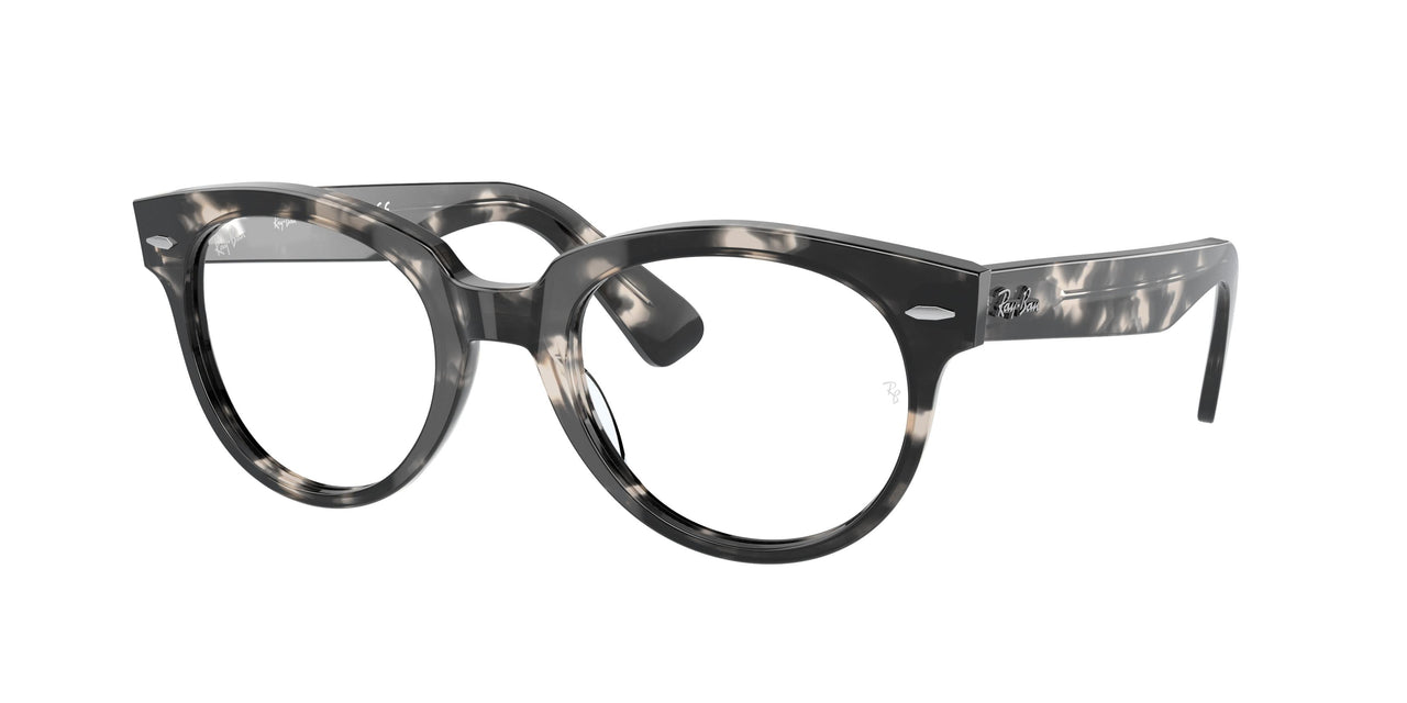 Ray-Ban 2199V Eyeglasses