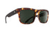 623863 - Vintage Tortoise - Happy Gray Green