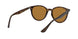 710/83 - Havana - Polar Brown