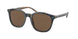 Polo 4188 Sunglasses