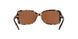 169173 - Smoky Tortoise - Amber Solid