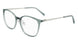 Pure P 3009 Eyeglasses