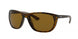 Ray-Ban 4307 Sunglasses