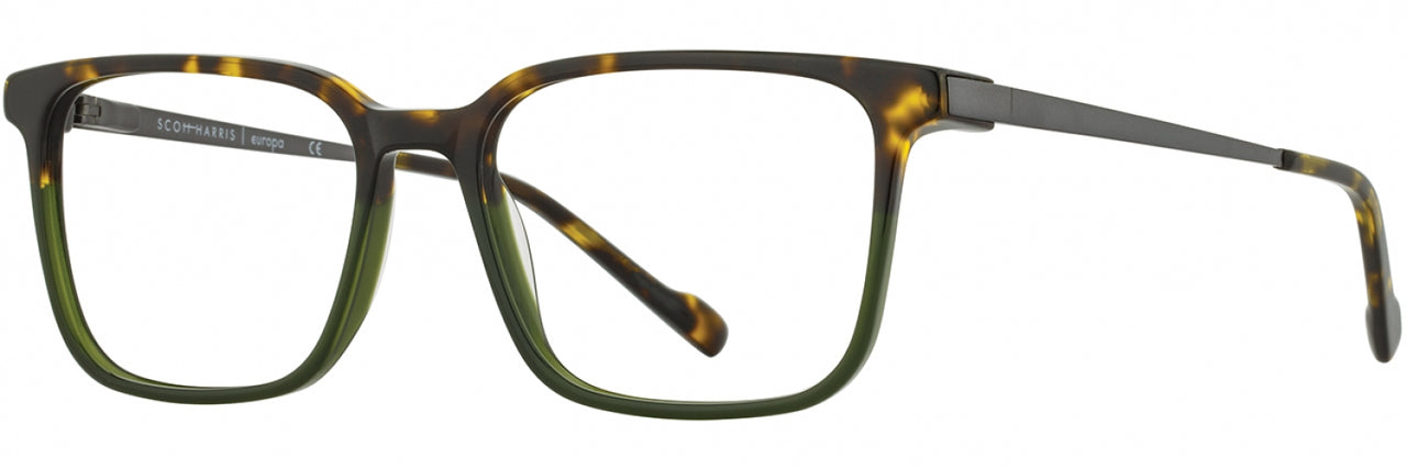 3 - Amber Tortoise / Ivy / Graph