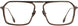 STATE Optical Co. CORTEZ Eyeglasses