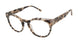 Ted Baker TW010 Eyeglasses