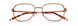 Paradigm 21-02 Eyeglasses