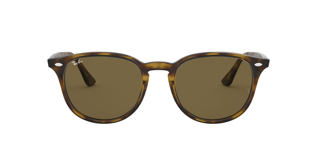 Ray-Ban 4259 Sunglasses