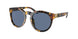 Ralph Lauren 8204QU Sunglasses