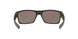 918934 - Brown - Prizm Daily Polarized