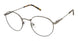 Superflex SF-1141T Eyeglasses