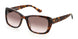 0086-HA - Dark Havana - Brown Gradient