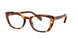 Ray-Ban 5366 Eyeglasses