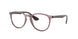 Ray-Ban Erika 7046 Eyeglasses