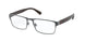 Polo 1198 Eyeglasses