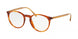 Polo 2193 Eyeglasses