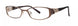 Vera Wang V310 Eyeglasses