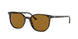 Ray-Ban Elliot 2197 Sunglasses