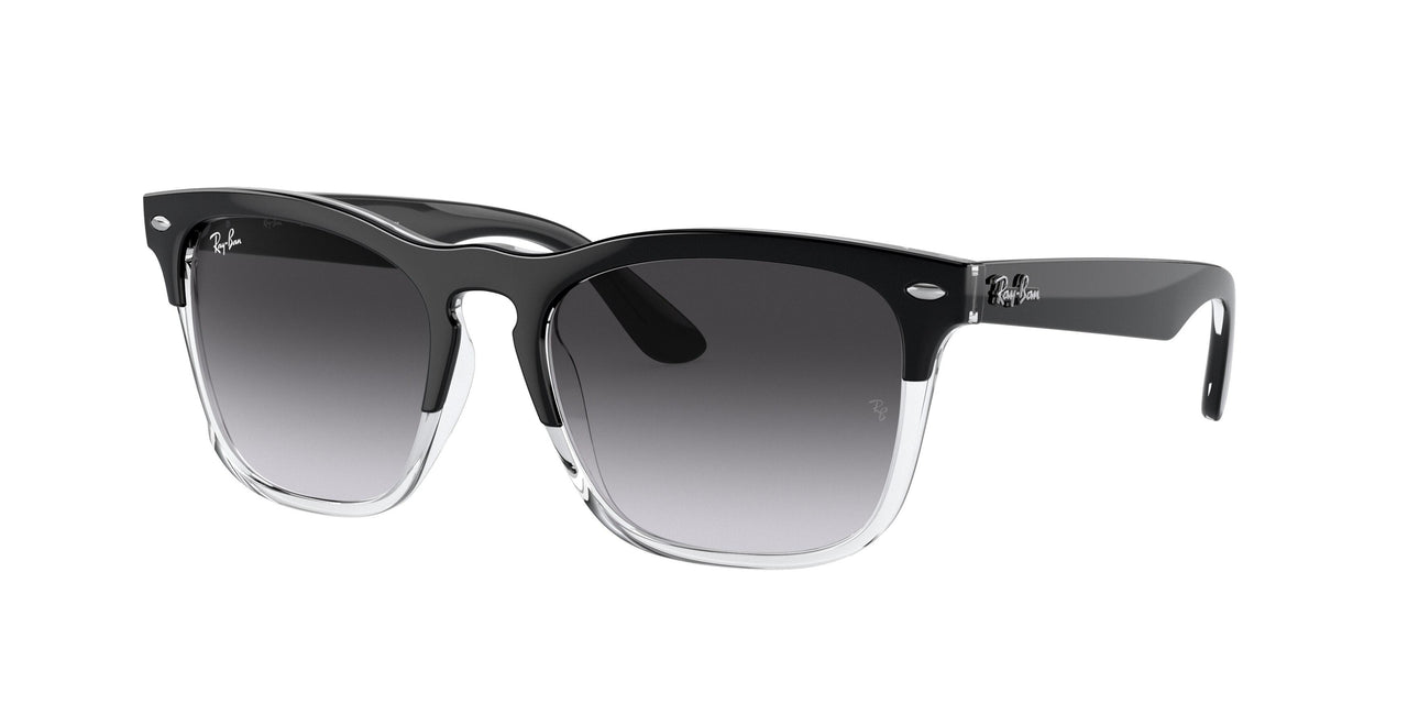 Ray-Ban Steve 4487F Sunglasses