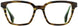 STATE Optical Co. CANAL Eyeglasses