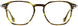 Scott Harris SHVIN55 Eyeglasses