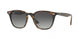 Ray-Ban 4258 Sunglasses