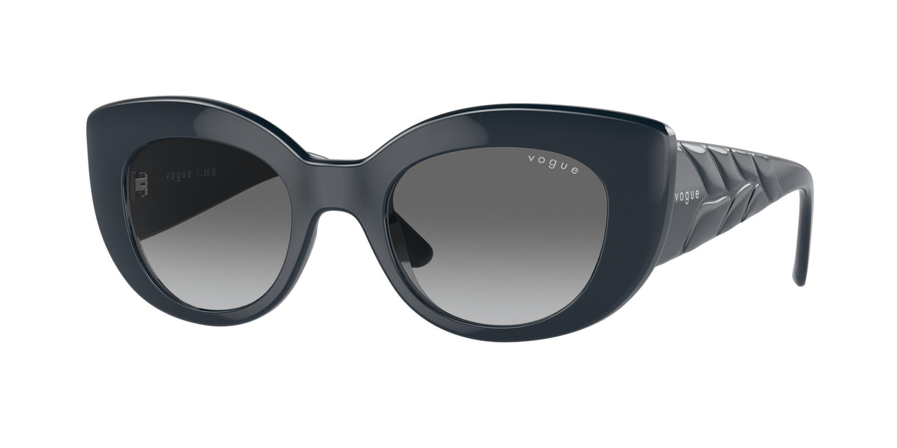 Vogue Eyewear 5480S Sunglasses