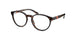 Polo Prep 8538 Eyeglasses