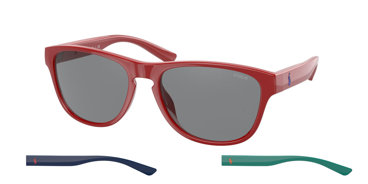 Polo 4180U Sunglasses